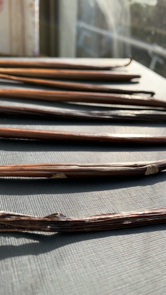 Natural vanillas from Okinawa