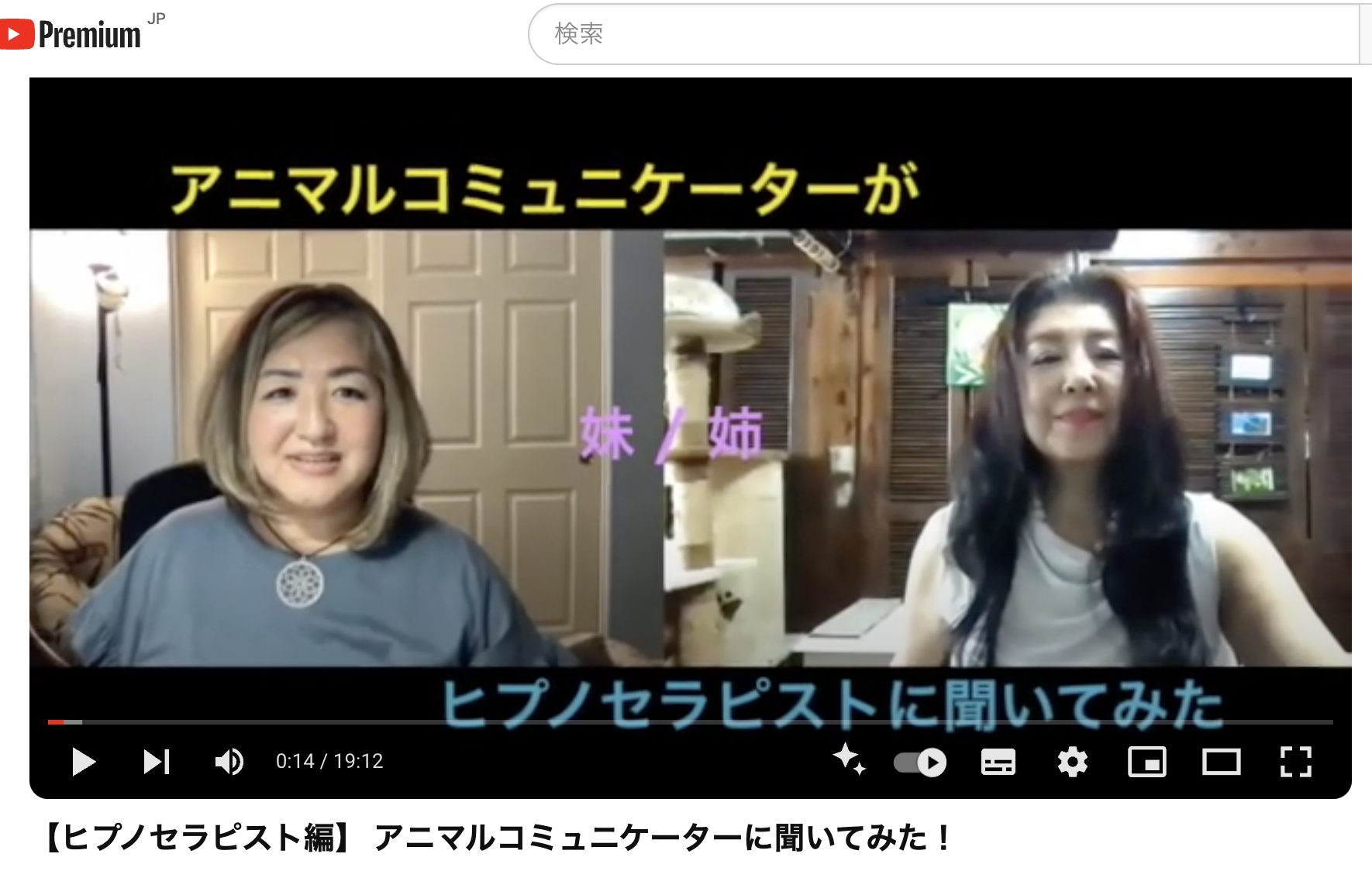 youtubeに出演